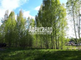 Колтуши