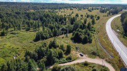 Ручьи, Центральная