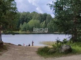 Ромашки, Речная
