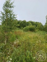 Подгородье, 5