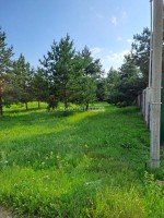 Павловский Посад, Козлово, Сосновый бор