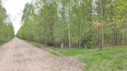 Клин, Синьково