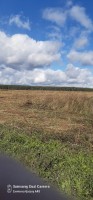 Бутурлино, Сад N5 п Ногина