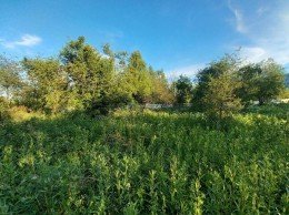Становое