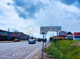 Велигонты