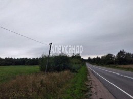 Ларионово, Снетково