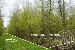Славянка