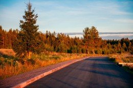 Торфопредприятие Выборгское