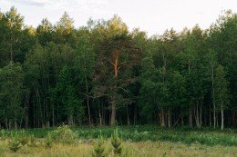 Мурманское