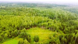 Массив Замостье Замостье-3
