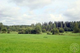 Приветнинское