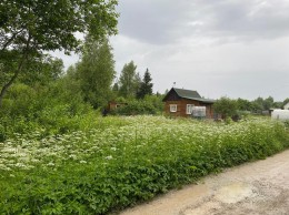 Алексеевка