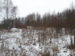 Электроугли
