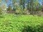 Продажа земельного участка Долгопрудный, Хлебниково, Пушкина, 22