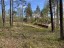 Продажа земельного участка Сертолово, к.П