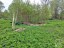 Продажа земельного участка Лужки