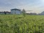 Продажа земельного участка Хапо-Ое