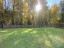Продажа земельного участка Зеленогорск, Овражная, 3