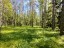 Продажа земельного участка Полянская, уч. 26