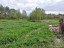 Продажа земельного участка Лужки