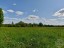 Продажа земельного участка Захонье