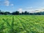 Продажа земельного участка Слапи