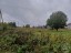 Продажа земельного участка Дятлицы