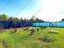Продажа земельного участка Красногорск, Александровка