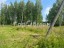 Продажа земельного участка Александровское, Родник-43