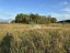Продажа земельного участка Солнечное