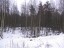 Продажа земельного участка Васильево