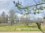 Продажа земельного участка Клеверное