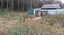 Продажа земельного участка массив пос. Синявино-1 Приозерное, к.нт