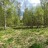 Продажа земельного участка Пальцево