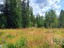 Продажа земельного участка Заходское