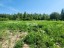 Продажа земельного участка Лососево, Заозёрная, 6
