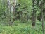 Продажа земельного массива Истра