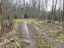 Продажа земельного массива Моторное п ДПК Пригородное