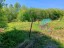 Продажа земельного участка Горловщина