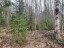 Продажа земельного массива Моторное п ДПК Пригородное