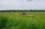 Продажа земельного массива Заостровье