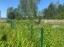 Продажа земельного участка Пальцево, Озёрная