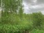 Продажа земельного участка Путилово