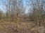 Продажа земельного участка Всеволожск, Дорожный, 27