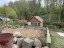 Продажа земельного участка Сертолово, 51-1