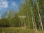 Продажа земельного участка Понтонный, Колпинская, уч. 20