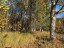 Продажа земельного участка Шамокша-1, Заречная