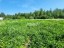 Продажа земельного участка Лососево, Заозёрная, 6