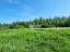 Продажа земельного участка Лососево, Заозёрная, 6
