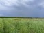 Продажа земельного участка Степановское